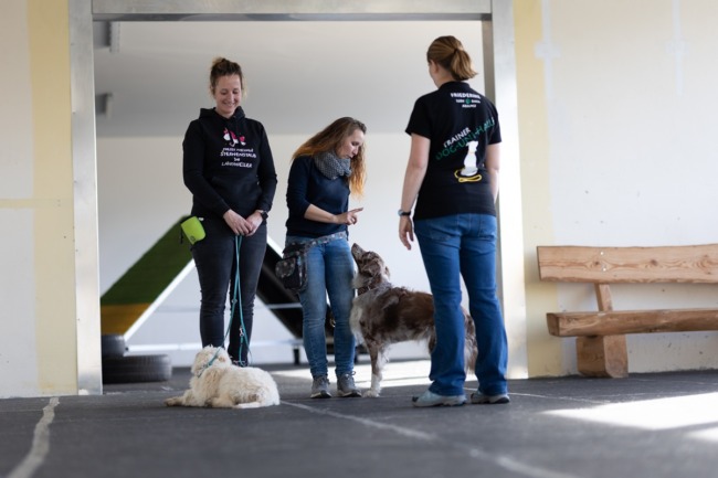 Training_in_der_Halle